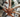 Bezzos-Shop: Über uns Banner