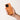 Premium ActiveTouch MagSafe Case for iPhone 17 Series